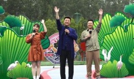 安徽医生爆料事件视频最新,揭露医疗乱象背后的真相